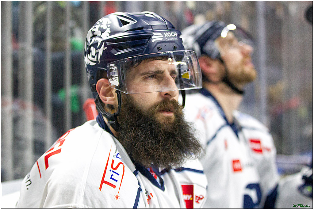 PENNY DEL;  Koelner Haie - Straubing Tigers; Koeln, 15.10.2021